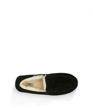 Mens Ascot - Suede Black 5775